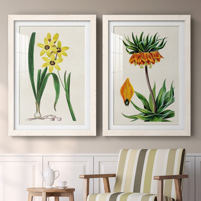 Reproduction encadrée Antique Floral VI-Premium - prêt à accrocher