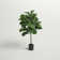 Sand & Stable Faux Fiddle Leaf Fig Tree In Pot & Reviews 