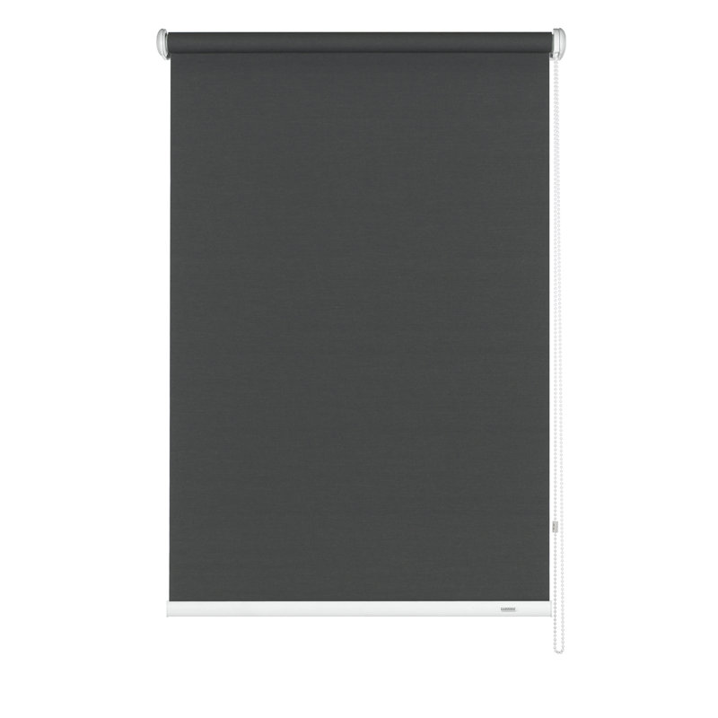 Semi Sheer Roll-Up Shade, 230 cm L x 102 cm W, Silvalin