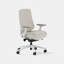 Ergonomic Chair Pro-1299345840-1299345842