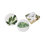 Arcadia 2 Piece Dessert Plate Set