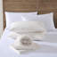 Ensemble de draps en flanelle de coton Eddie Bauer-57350774-57350775