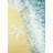 Left Side Seastar - Framed Canvas Beach Animals Decor