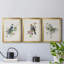 «Spring Song Blue Bird», ensemble de 3 peintures sur toile encadrées-1845700943-1845700937