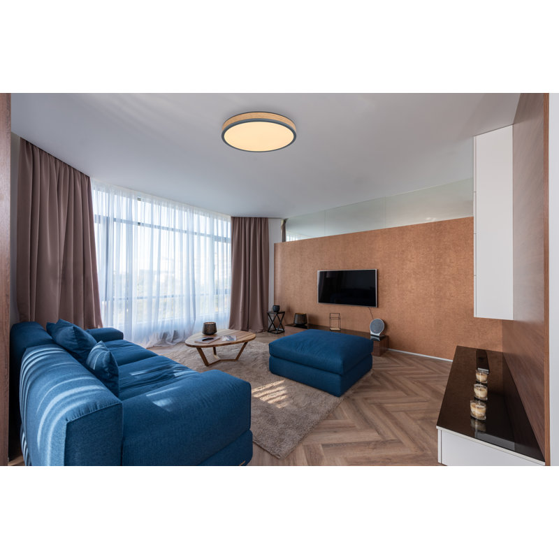 Tejal Plastic LED Flush Mount, 10cm H x 40cm W x 75cm D