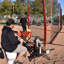 Pitcher Protection Softball and Baseball Net