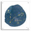 «Horoscope Pisces» par Moira Hershey, art mural en verre acrylique-751618961
