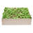 Dorgan Wood Planter Box