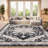 Alberte Performance Oriental Rug-94112968