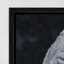 Venus I Print by Jeffrey Goodman-737724763-737724756