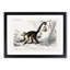 Capuchin Monkeys by Charles d'Orbigny - Picture Frame Painting Print-55513913-55513914
