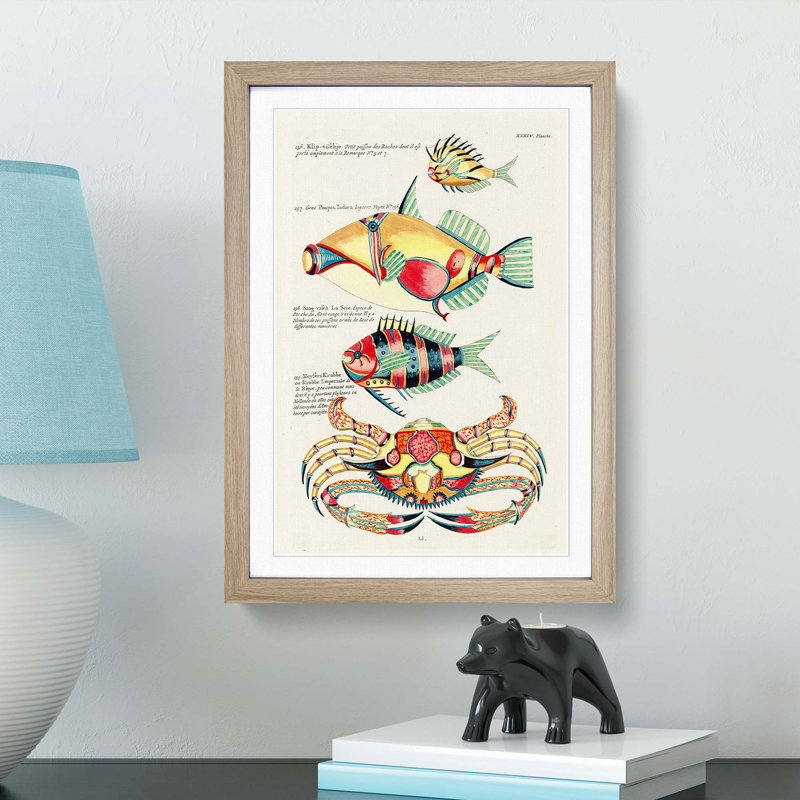 East Indies Fish & Crab Illustrations XXXIV by Louis Renard - Picture Frame Painting Print, Oak Framed