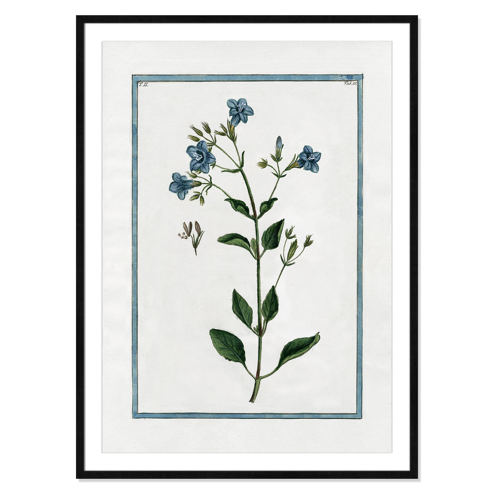 Shabby Elegance Botanical II - Framed Art, Black Framed, 29.5" W x 41.5" H