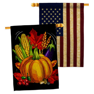 Double Sided 40'' H x 28'' W Polyester House Flag