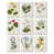 Toile tendue
