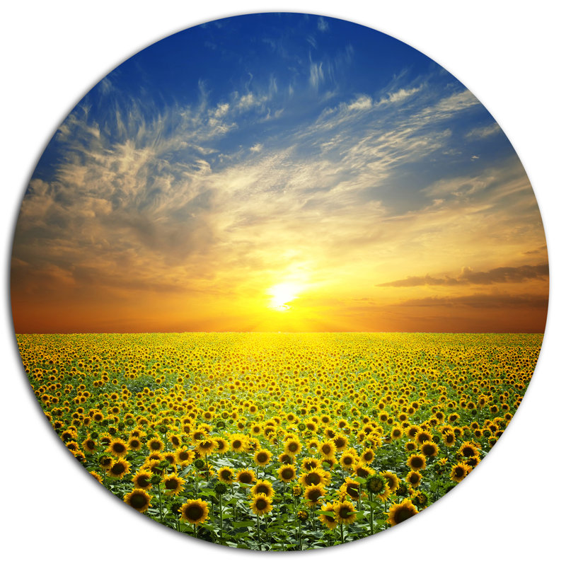 «Beauty Sunset over Sunflowers Field», reproduction de photo sur métal, H 23 po x l 23 po