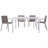 5-Piece Indoor/Outdoor Furniture Set - 4 Chairs And 1 Long Table-773636233