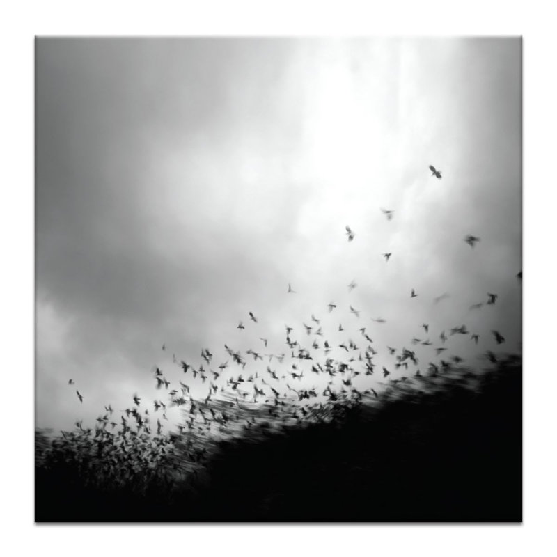 Wrapped Canvas Print, 41cm H x 41cm W