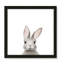 Art encadré en lapins forestières-48188938-48188939