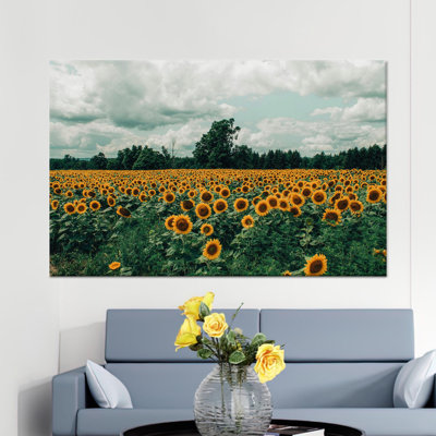 Elegant Printed Canvas: Sunflower Field Tempered Glass Wall Art,1P GoldFramedCanvas