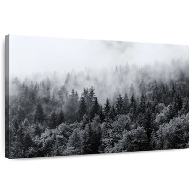 Alvord Misty Pine Tree Forest