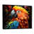 Black Floater Framed
