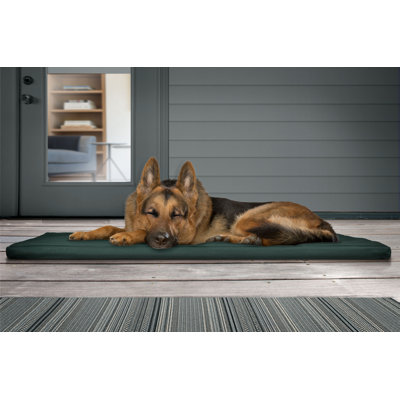 Nap™ Polyester Pet Bed