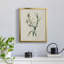Traditional Botanical IV - toile encadrée de qualité supérieure - prête à être accrochée