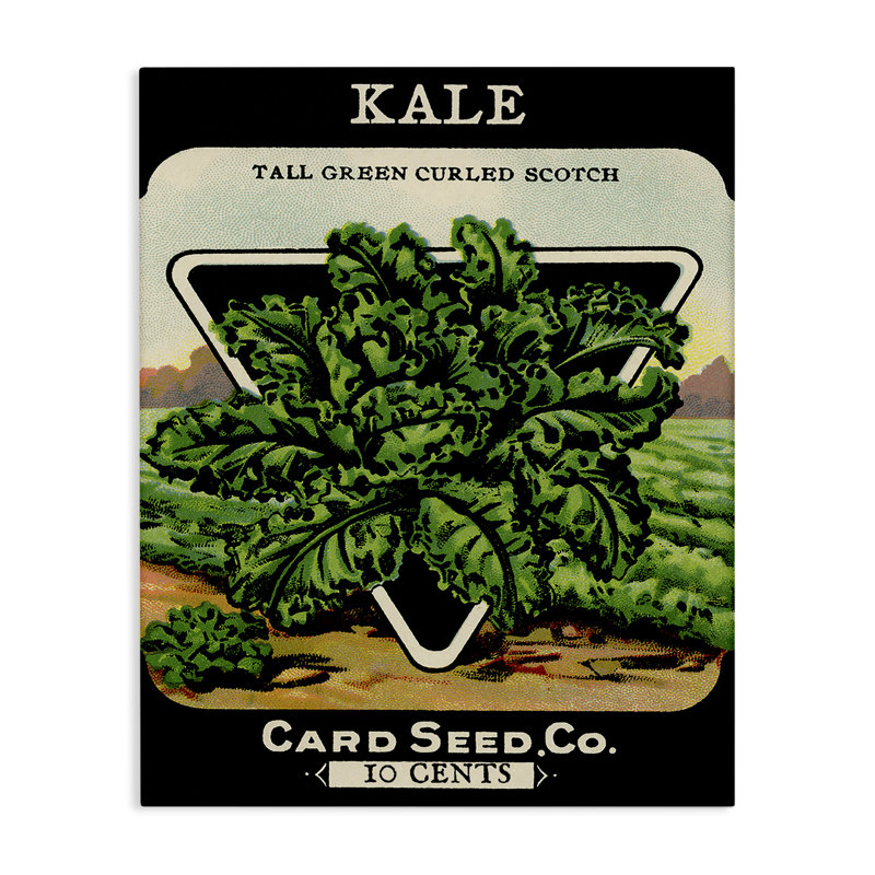 Vintage Garden Kale Canvas, design by Lil' Rue, 20" H x 16" W