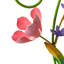 Piquet de jardin Spring Blooms