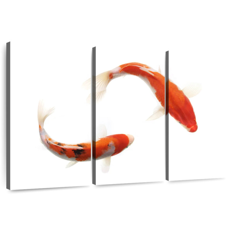 Couple de koi, H 24 po x l 38 po