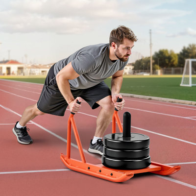 VEVOR Steel Weight Sled