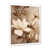 White Single Picture Framed