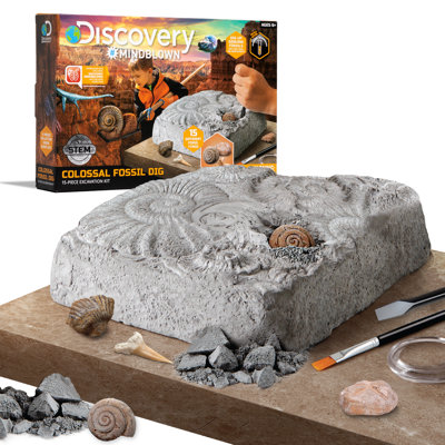 Colossal Fossil Dig