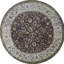 Oriental Area Rug
