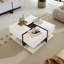 Pedestal Coffee Table with Storage