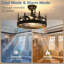 23.62"  5-Light Farmhouse Ceiling Fan With Light, Reversible 6 Speeds and Remote Included-2097367269-2091064289