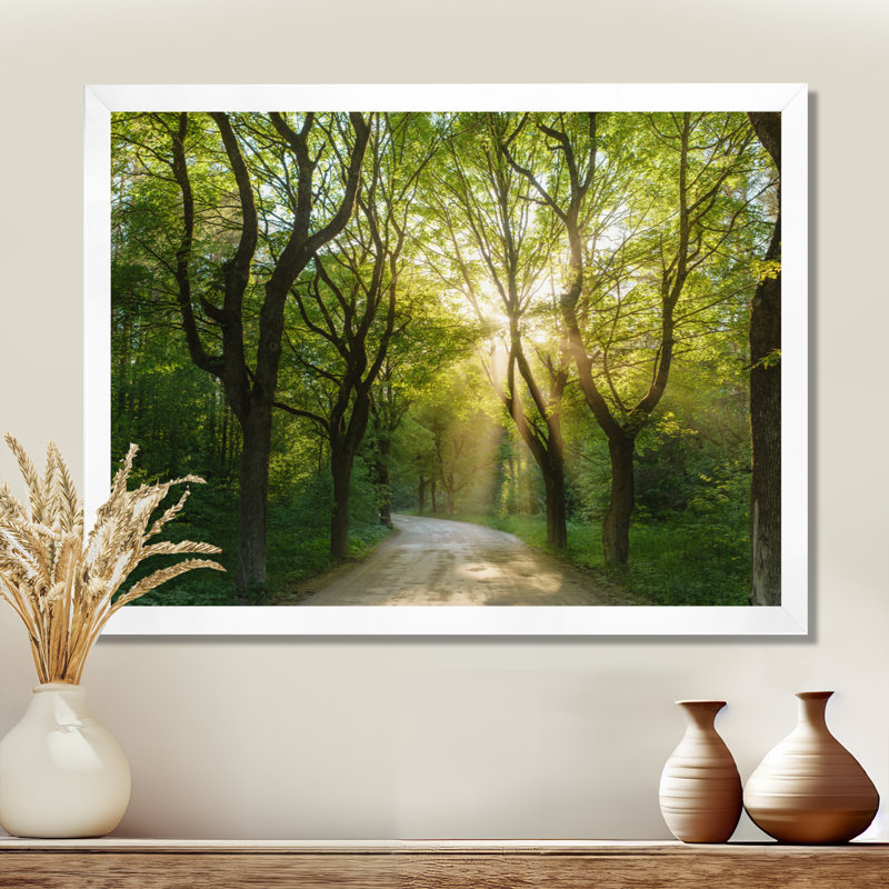 Evening in Green Forest - Photograph, White Picture Framed, 24" H x 32" W