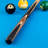 Elite Cuestix Wood Pool Cues-4031117