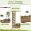 Planter-1257688035