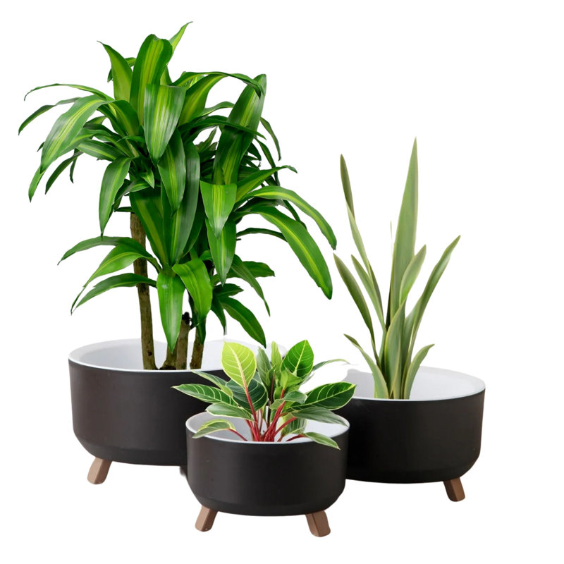 Ensemble de 3 pots à fleurs en plastique pour plantes avec trou de drainage Ginza Maison , Noir