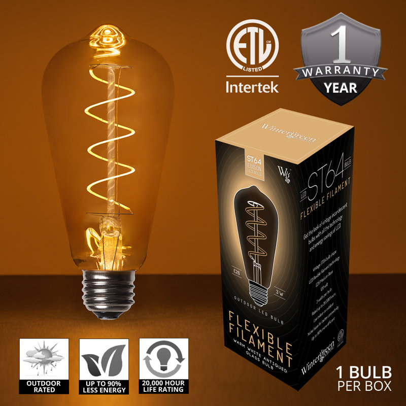 3 Watt (25 Watt Equivalent), ST64 LED Dimmable Light Bulb Warm White E26/Medium (Standard) Base