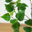 3 pi. Bouleau artificiel
