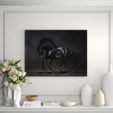 Black Stallion Print