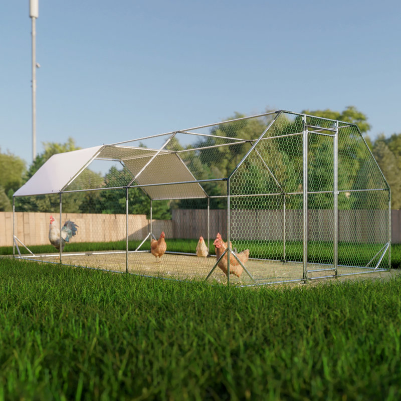 Cage de poulailler en métal galvanisé avec finition et verrouillage sécuritaire X 20 pi. Poulet durable pour poulailler