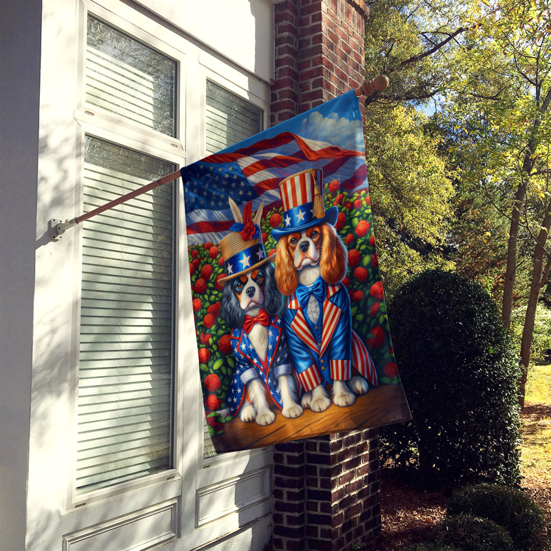 Drapeau «All American House», Épagneul cavalier bleu / rouge