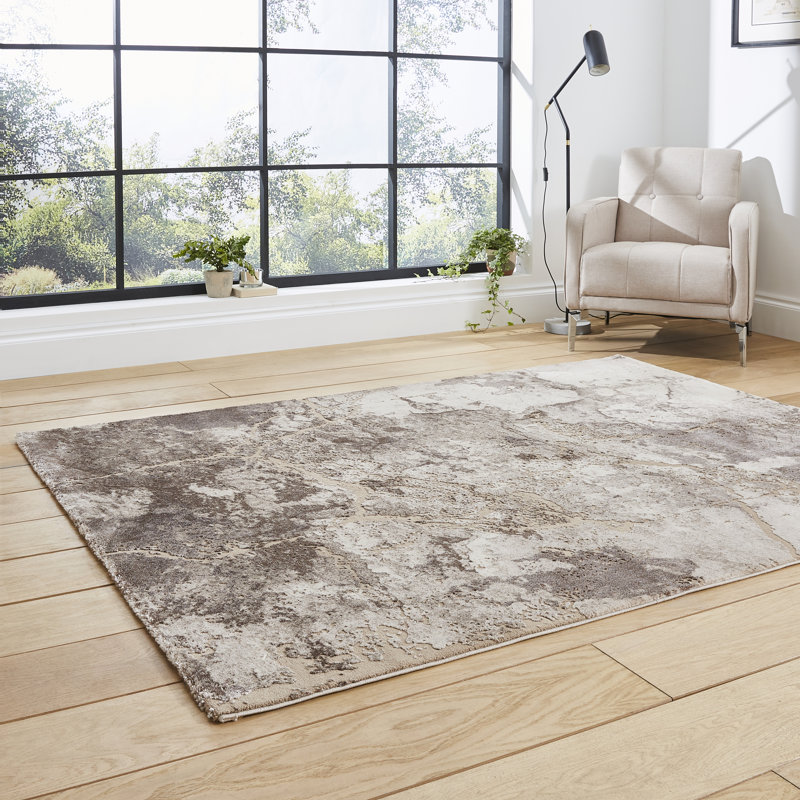 Hanrietta area rug Machine Woven Rectangle Beige/Silver, Rectangle 120 x 170cm