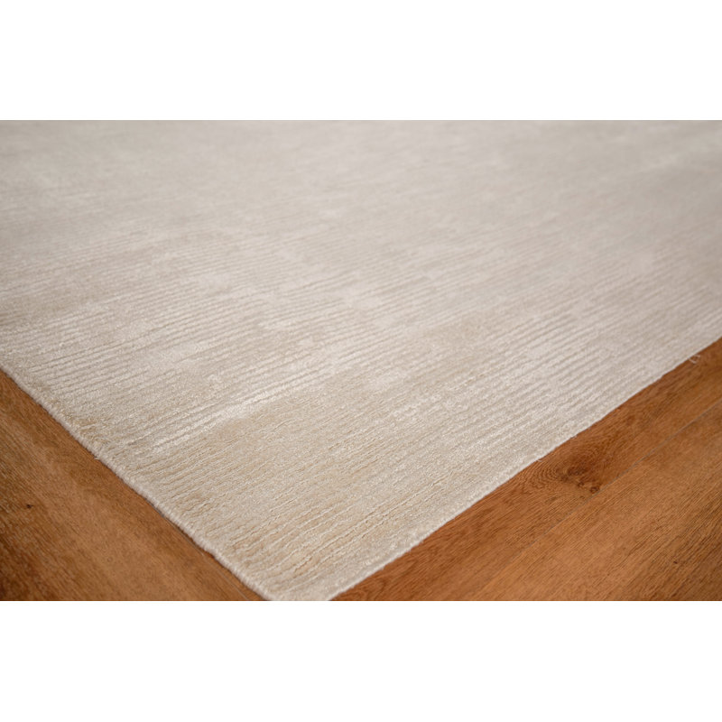 Tangaro Area Rug in Light Beige, Rectangle 10' x 14'
