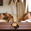 Desk Essentials Wood Coaster