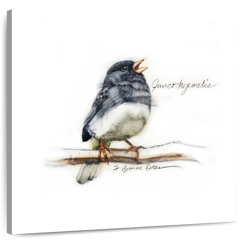 Crowle Junco II, 10" H x 10" W
